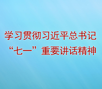 学习贯彻习近平总书记“七一”主要讲话精神