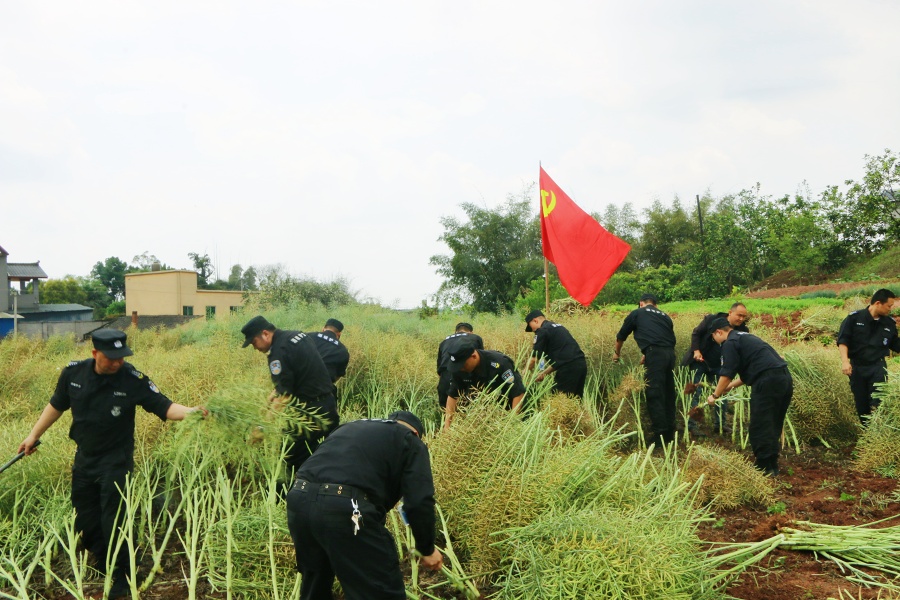 分工明确.JPG